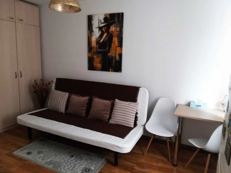 Piata Alba Iulia, str. Valeriu Braniste, ac, tv, disponibila de luni
